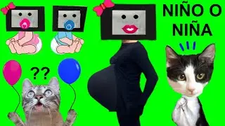 Baby shower de Tv woman embarazada de skibidi toilet 1-65 / Videos de gatos Luna y Estrella