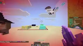 Best Elytra Target? #catlean