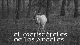 THE MEPHISTOPHELES OF LOS ANGELES | español | brhms grro #brahms  Marilyn manson #coversong