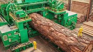 Inside the world's largest lumber mill &ndash; The process of transforming logs into workbenches The entir