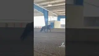 Just Some Flatshod For You