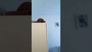 boy's 3 years old bedroom tour 2020!