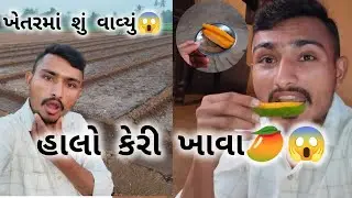 ખેતરમાં શું વાવ્યું 😱 | આવી કેરી ક્યારેય ખાધી નહીં 🥭| #vlog #dailyvlog #viral 