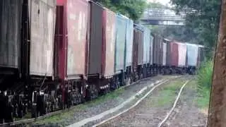 Composi&ccedil;&otilde;es X11 e L42