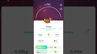 Starter Pokemon of Unova Region #pokemon #pokemongo