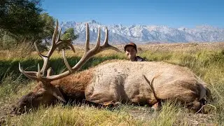 LUCK OF THE DRAW - A TULE ELK HUNT