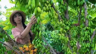 Enjoy beautiful nature with rural life 387 # MP Fresh #fruit #countrylife #farming #freshvegetables
