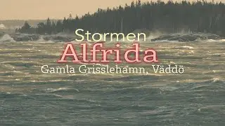 Alfrida - Gamla Grisslehamn - V&auml;dd&ouml; 2 jan 2019 - Melker Stendahl