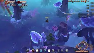 Mist Fails | Albion online