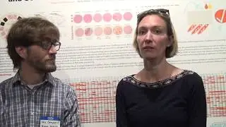 nanocourse families 2017