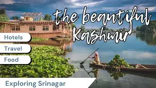 KASHMIR VLOGS| SRINAGAR | DAY 6-7 | EXPLORING SRINAGAR MARKETS|