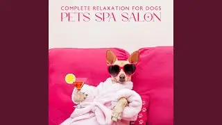 Animal Relaxation