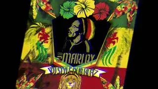 DJ STYLE DUB HIFI - BREDRIN RECORDS FEAT ECHO RANKS DON KILL YOUR BROTHER