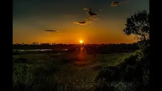 Guana River Wildlife Management Area