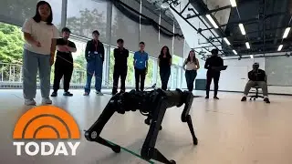 How the summer program AI4ALL is helping reshape the future