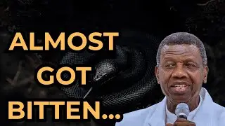 Almost B!tten by a Snake — But Destiny Saved Me | Pastor Adeboye