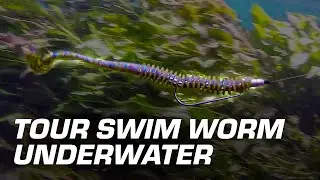 BBB Underwater - Tour Swim Worm