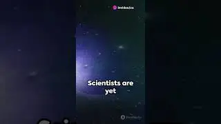 Top 5 Fastest thing of the Universe