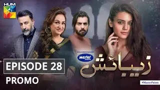 Zebaish | Episode 28 | Promo | Digitally Powered By Master Paints | HUM TV | Drama