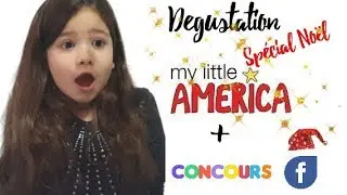 Degustation sp&eacute;cial No&euml;l 🎄My little america et annonce du concours Facebook 😉🎄
