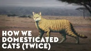 How We Domesticated Cats Twice