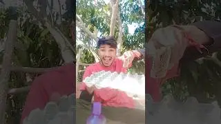 Команда Пицца или команда Гамбургер? 😂😂😂 #пицца #гамбургер
