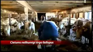 Vecumnieku cietums nelikumīgi nodarbojas ar gaļas pārdošanu