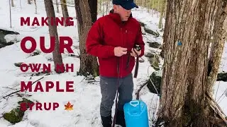 New England Home-made Maple syrup - Lake Winnipesaukee, NH