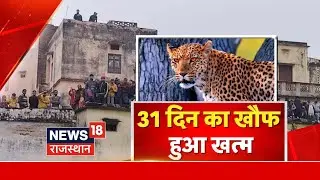 Leopard Caught In Alwar: 31 दिन का खौफ हुआ खत्म, अलवर शहर में बशिंदों ने ली राहत की सांस | Rajasthan