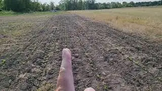 Update on the farm around and find out black beans.