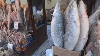Якутия! Самый холодный рынок! Цены на рыбу!