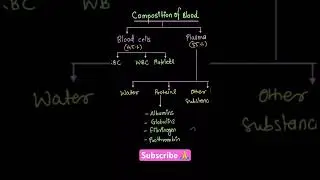Composition of blood ✨#blood #bloodcomposition #viral #biology #youtubeshorts #nurse #trending