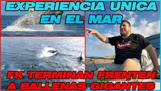 😱🌊INCREÍBLE EXPERIENCIA EN EL MAR💥FK SE SUBE A UN BARCO Y TERMINA FRENTE A BALLENAS !🐋😳#kingteka