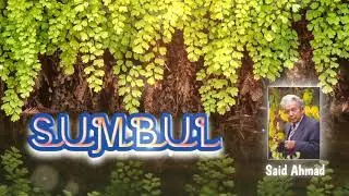 Said Ahmad | Sumbul (hikoya)