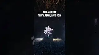 &lsquo;Truth, Peace, Love, Acid&rsquo; with ​⁠@alok  is out now! #alok #artbat #release