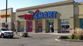 Eastern Ontario cat rescue under investigation