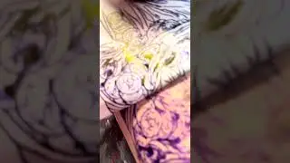 🍀Fortis Fortuna Adiuvat🍀 | Tattoo