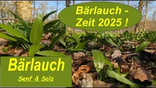 Bärlauch Senf & Salz