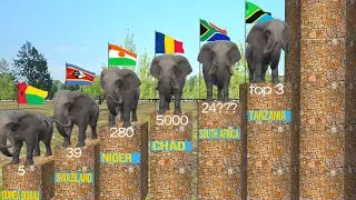 AFRICAN Elephant 🐘 Population By Country Wise 2024 |3D