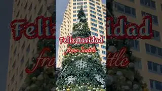 Here&rsquo;s a peek into Seattle during the holiday season #christmas #seattle #shorts