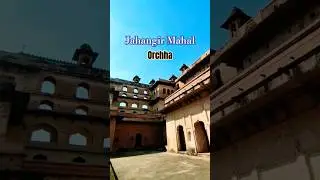 The place is almost a maze 🤩 #orchha #madhyapradesh #travelshorts #palace #indiatourism