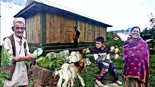 Beautiful Traditional Village Life || Goat Farm In East Nepal