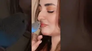 bakhtawar | Bakhtoo latest episode drama | #yumnazadi
