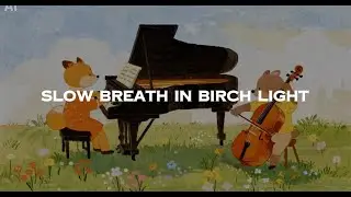 Playlist 樺木林的呼吸Slow Breath in Birch LightBrand from Breath the Life #cello #piano #music #現代古典