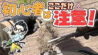 【初心者必見】黒松ミニ盆栽の植え替え。失敗しない基本と注意点