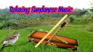 Relaxing Sundanese Music ~ Kacapi Suling ~ With Natural View of Rice Fields and Pine Forest