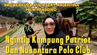 INI GAEZ KUDA-KUDA SEXY ARGENTINA MILIK PRABOWO ‼️DI NUSANTARA POLO CLUB Dewa Dewi Ngetrip