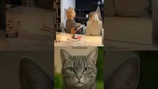 Panic Attack 😏😹#cat #meme #trending #dance