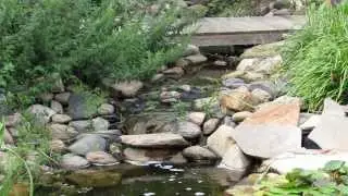 Northeast Park Guilford County / Gibsonville NC - A Video Tour