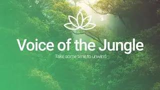 Relaxing Jungle Sounds | Voice of the Jungle | Zenify